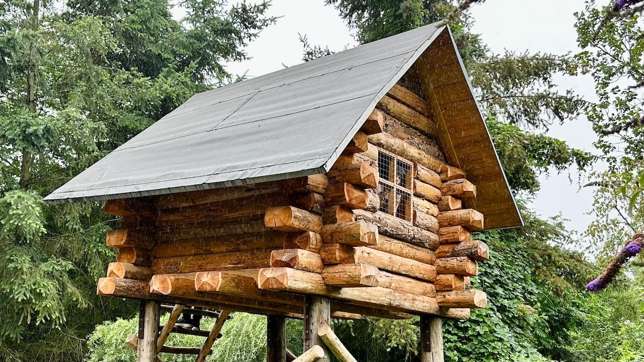 Blockhaus aus nachhaltigem Holz